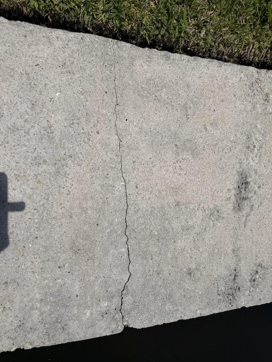 Concrete piling at the waterline showing surface delamination, calcium leaching, and early rust bleed at the rebar line
